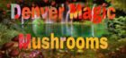 Denver Magic Mushroom